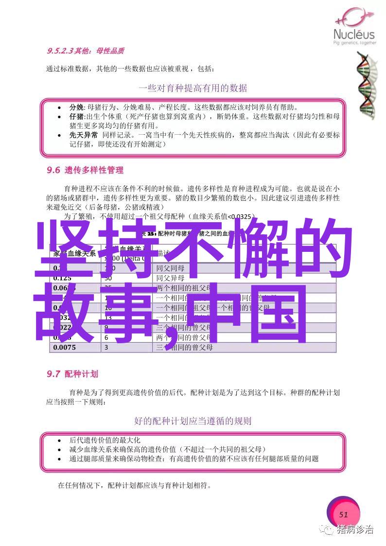 元朝辽阔版图从蒙古帝国扩张到中原统一的宏伟篇章