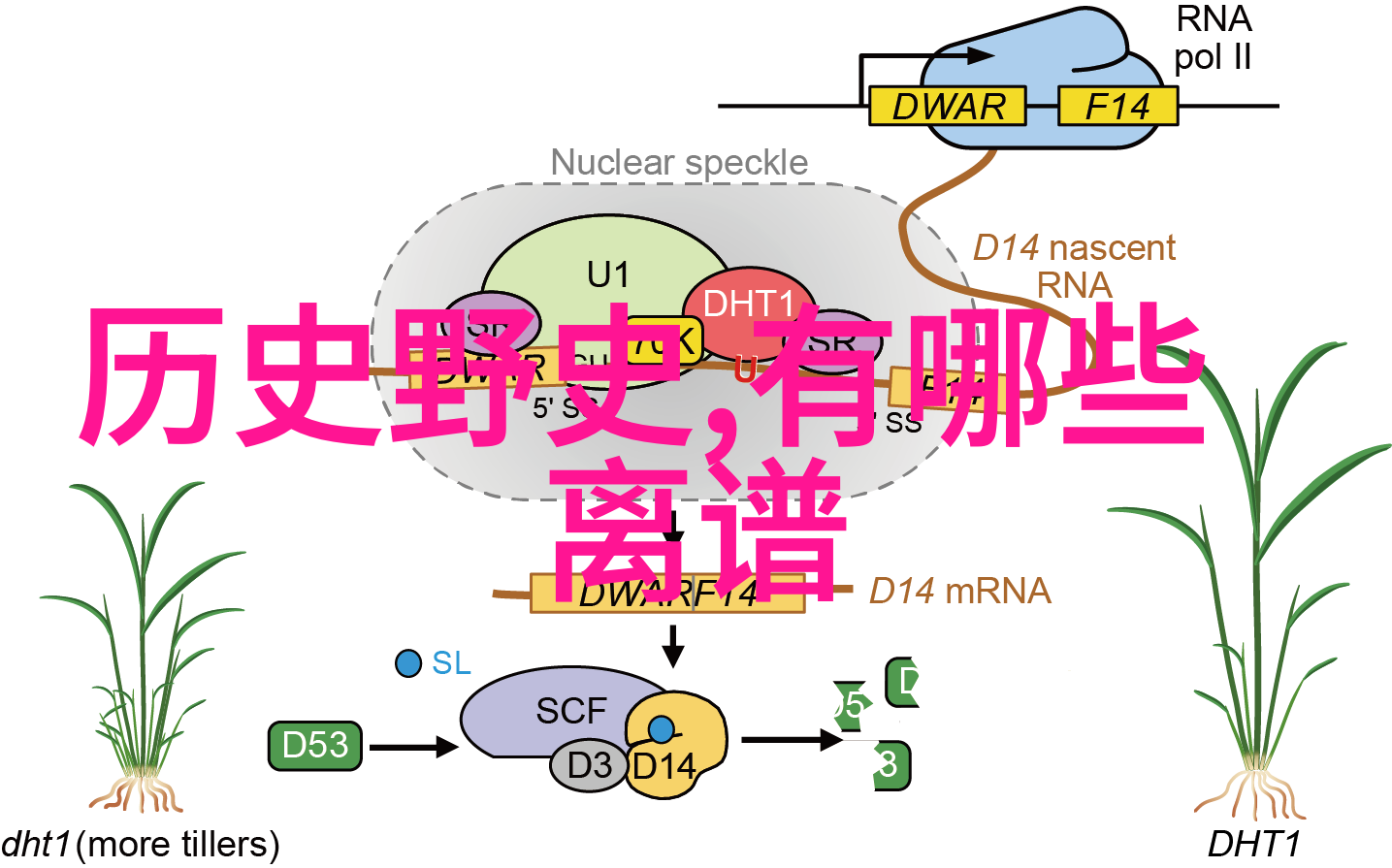 张辛怡画笔下的梦想与现实交汇