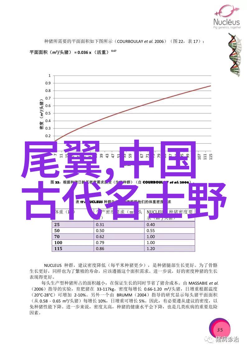 公主的奇幻冒险古老王国中的勇敢继承者