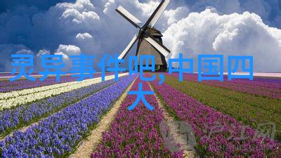 中国农民发现巨石刻画解读2021年考古新进展