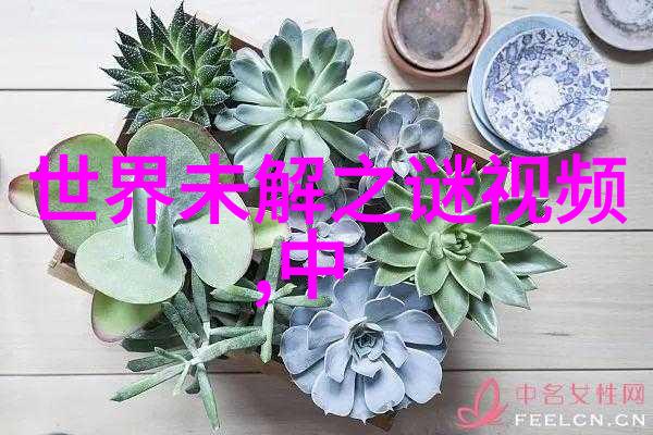 古代智慧宝库成语故事的精华历史成语故事