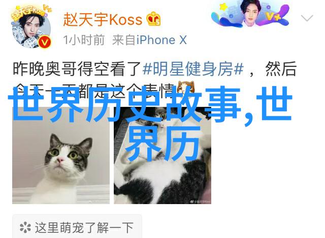 冷宫皇后猫小猫我是如何发现这只神秘小生命的