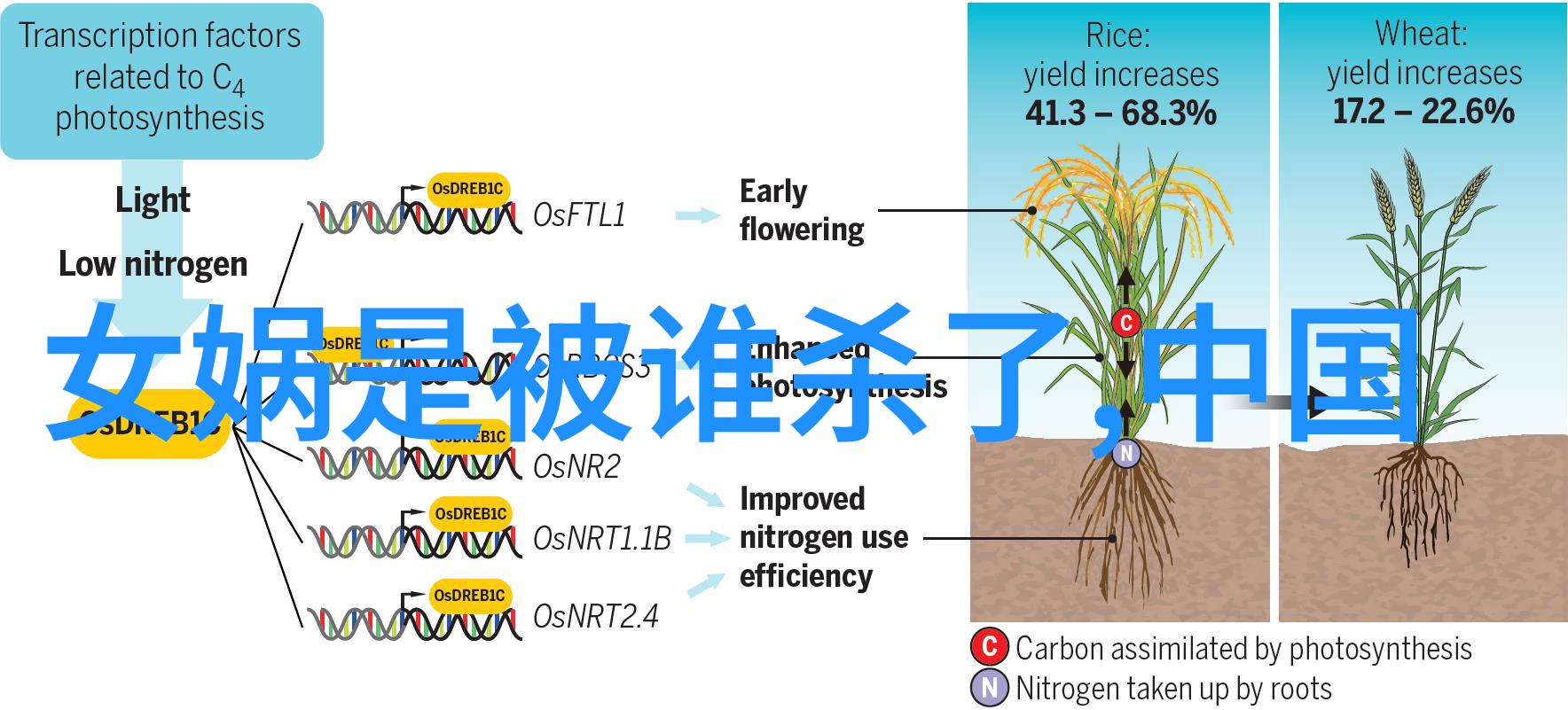 断发与乌兰巴托之间存在什么深层次联系