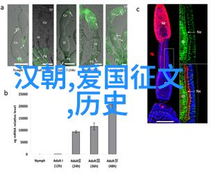 唐朝盛世的长眠