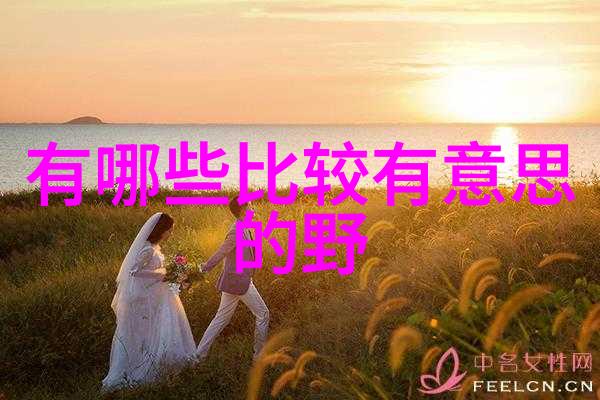 明朝第二个皇帝朱棣明成祖的崛起