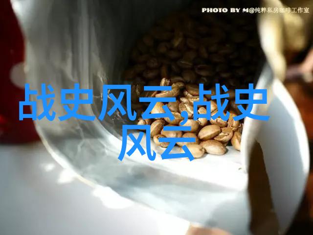 明朝如何防止豆腐渣工程探究历史中晋唐宋三朝的自然环境与治理策略