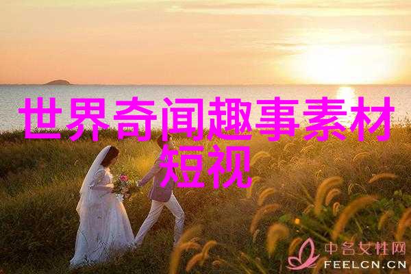 一天中的趣事日记300字 - 时光倒影每日小确幸的记录