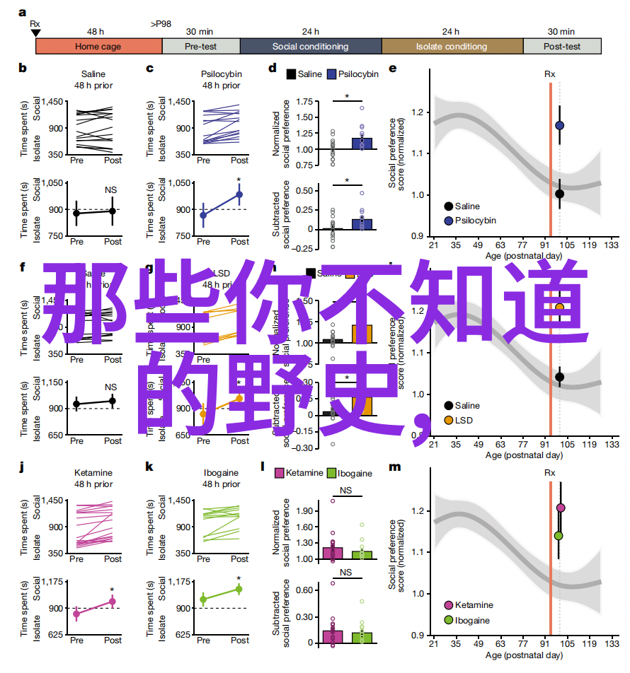 东北民间故事奇闻怪事揭秘松花江上的鬼船与遥远森林中的木乃伊