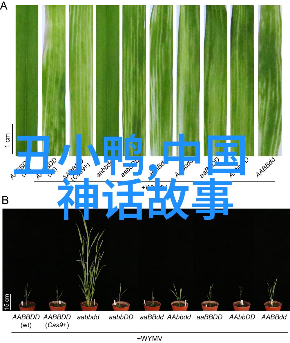 认知革命者的崛起科技艺术或思想领域里谁曾经引领了一次巨大的变革