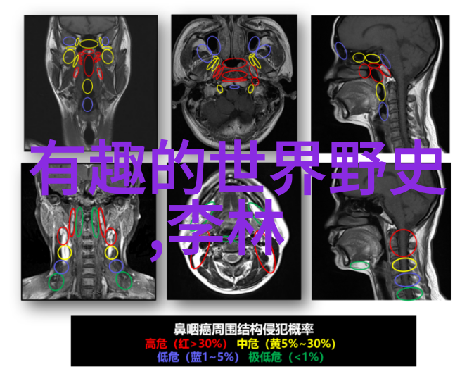 宋国历史100字重塑辉煌王景弘背后的英雄岁月探秘下西洋功臣王景弘的光芒与征途