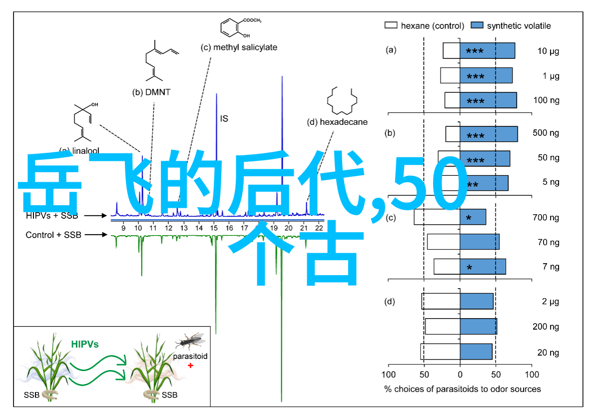 天上女娲与地府大帝的和平之约