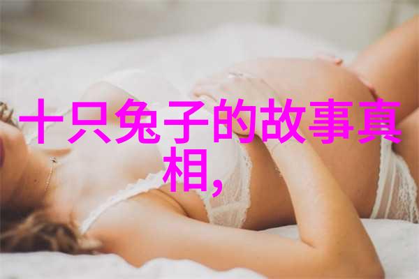 明镜暗影公孙衍的双面世界