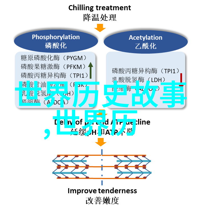 三国智谋风云中国经典神话故事大全中的心机高手