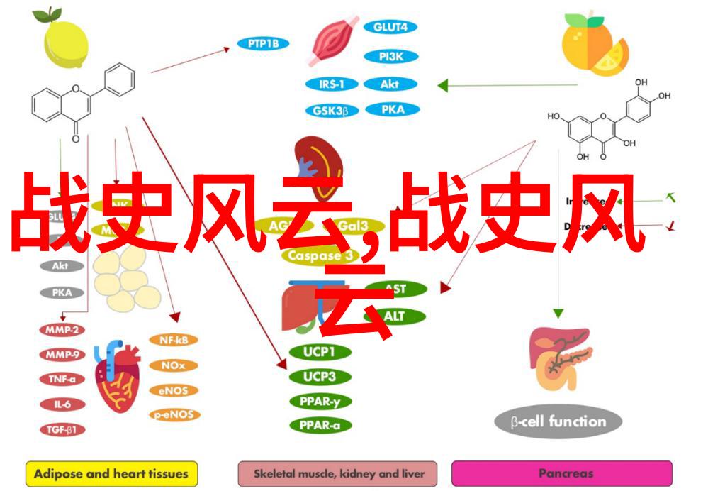 西方文明的诞生希腊哲学与罗马霸业