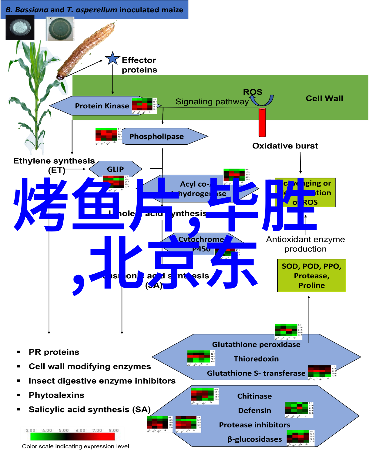 歃血大隋-隋朝烽烟下的忠魂歃血的荣耀与历史的沉痛