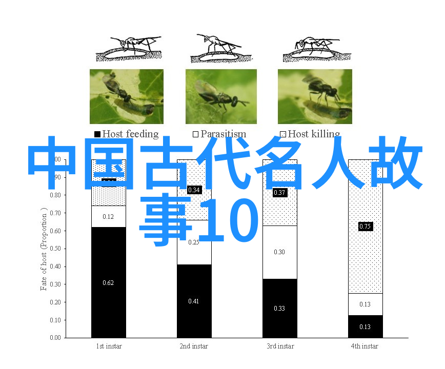 古韵童谣流转中的传统故事