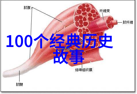 家庭共享生活体验探索4房播播的新模式