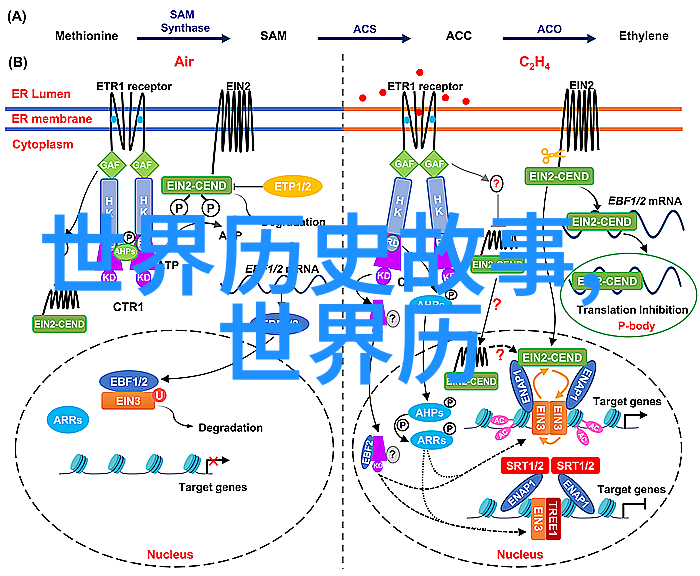 清末民初从慈禧的垂帘听政到孙中山的革命梦想