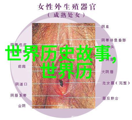 森林里的智慧解读二年级学生适应寓言故事阅读的策略与方法