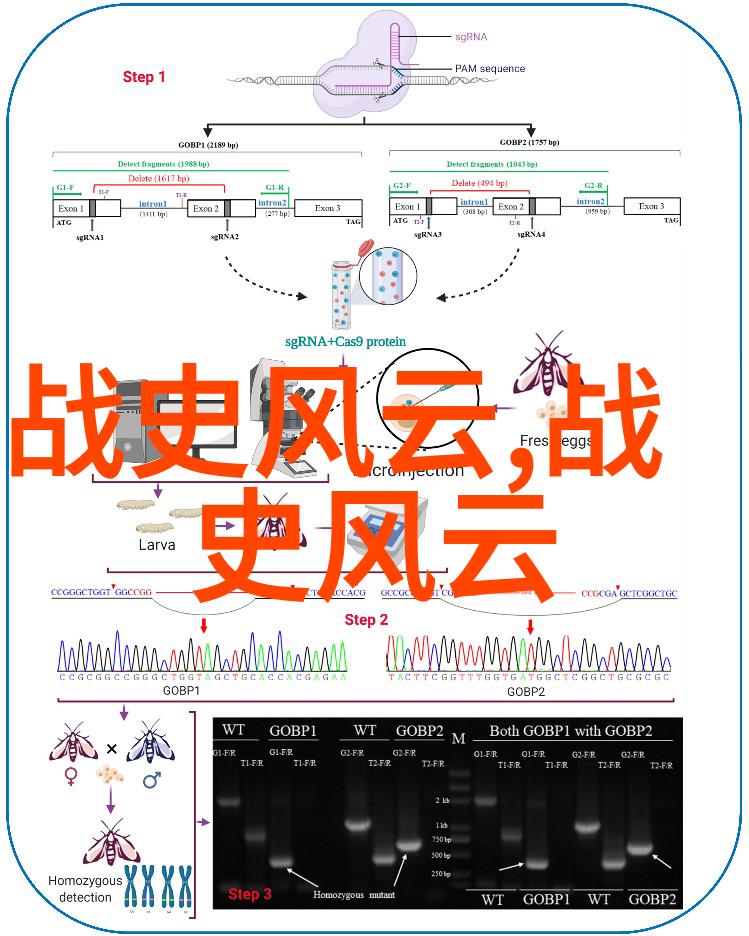 在中国历代王朝一览表中宦官的存在犹如幽灵般神秘他们如何轻易掌握如此巨大的权力哪些宦官的名声远播让人难