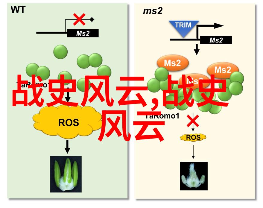 星汉灿烂电视剧原著小说穿越时空的传奇爱情