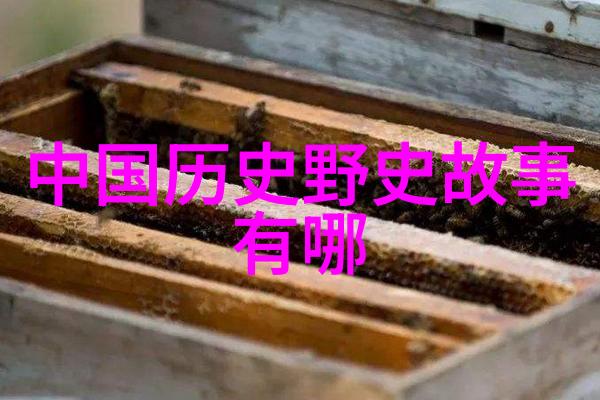 见证变迁深入了解专注历史观察app的兴起