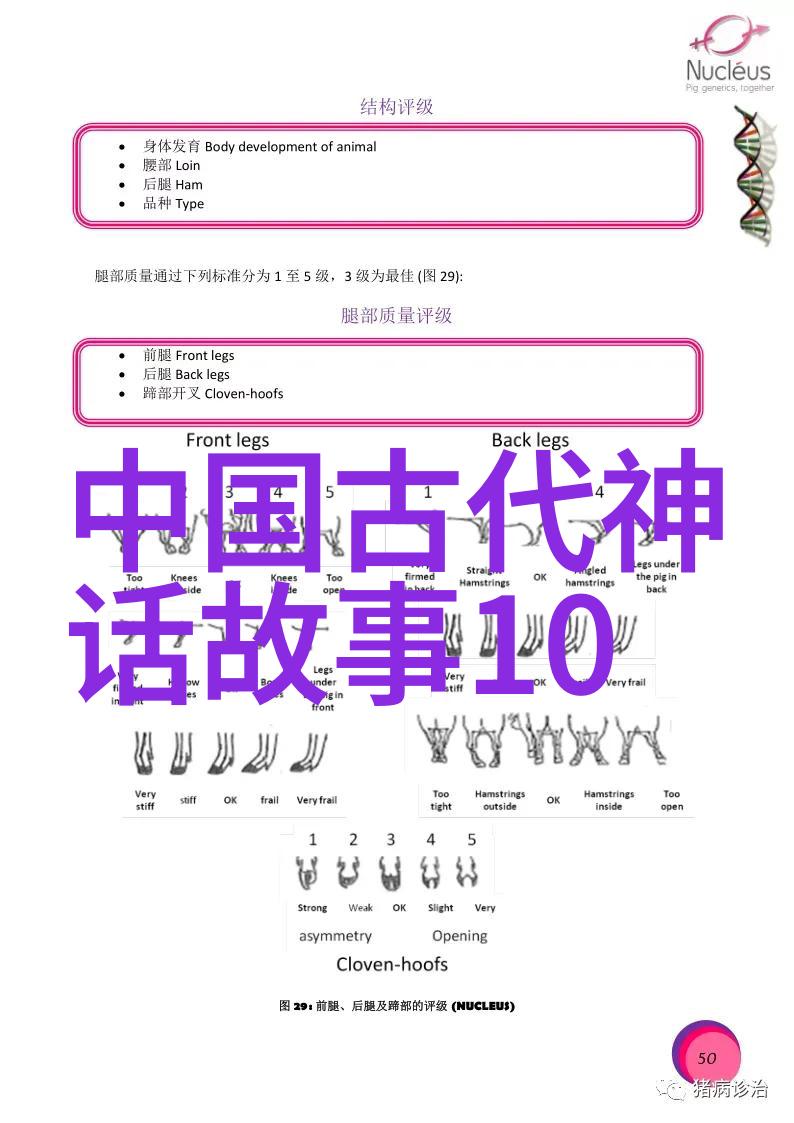 城市之韵公交车上的诗行激情飞扬