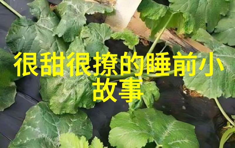 小猫捉老鼠二年级学生喜爱的寓言故事