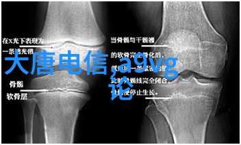 历史上的奇异传说揭秘那些未入史册的趣闻往事