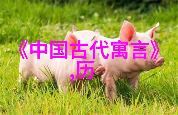 樊梨花如何轻松破解金光阵其智谋之高犹如古语中机不可失时不再来巧妙运用