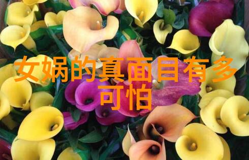 宫锁连城下载古装剧集完整版