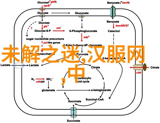 体现中国优秀传统文化的故事-龙舞凤飞揭秘中国古代文人墨客的书画艺术