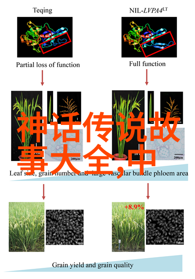 主题我知道的那些射手座历史名人