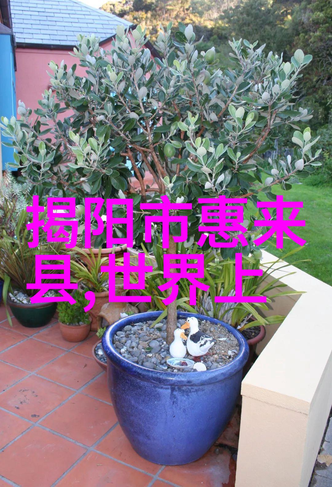 小熊与魔法花园二年级神话故事精选