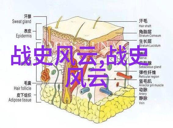 古代四大美女的帝国野史趣闻西施王昭君貂蝉杨玉环沉鱼落雁闭月羞花