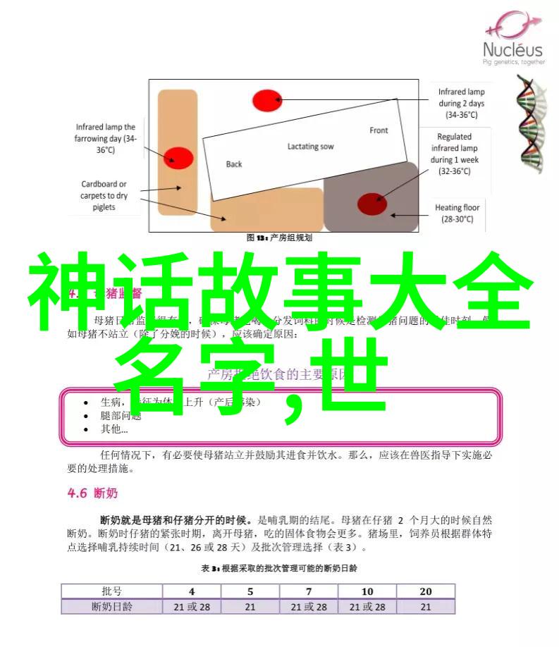 上下五千年野史我亲眼见证了历史的长河