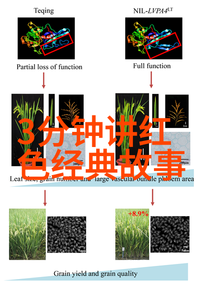 天界笑话录中国神话的幽默篇