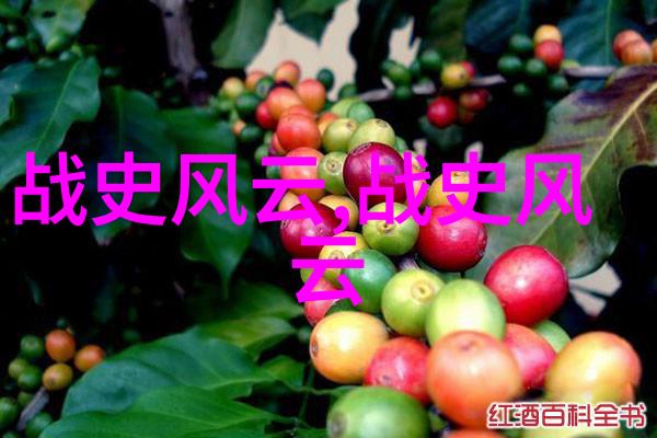 山洞中的预言60岁的终结