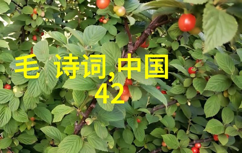 49式动作破晓前的阴谋