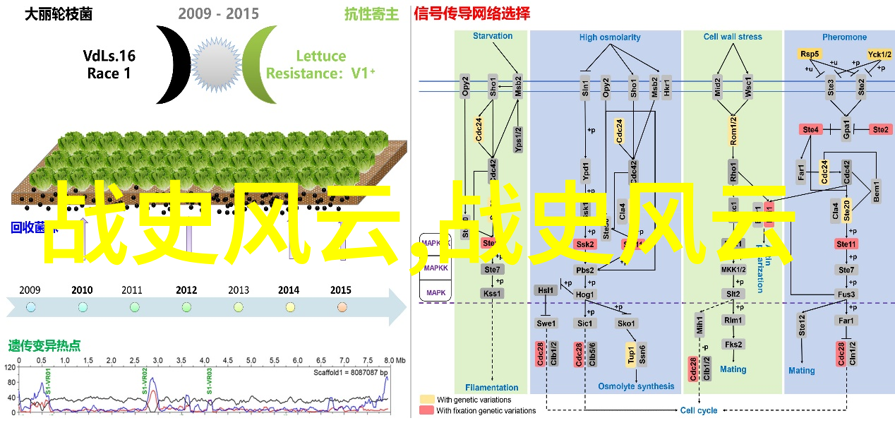 用心聆听用心传承在学校课堂上讲授什么样的现代化简化后的经典或新创造出的符合儿童心理发展阶段和兴趣点的