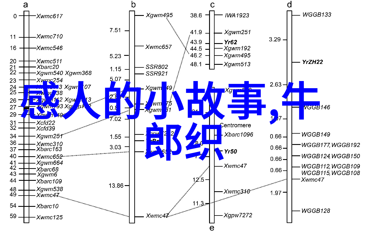 菲克老虎我和菲克老虎的激情岁月