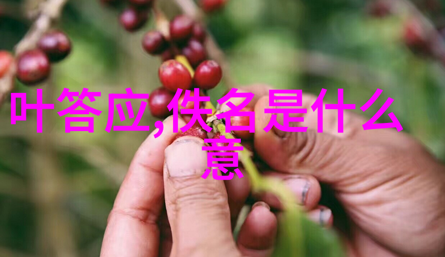 三国风云录揭秘江湖暗线