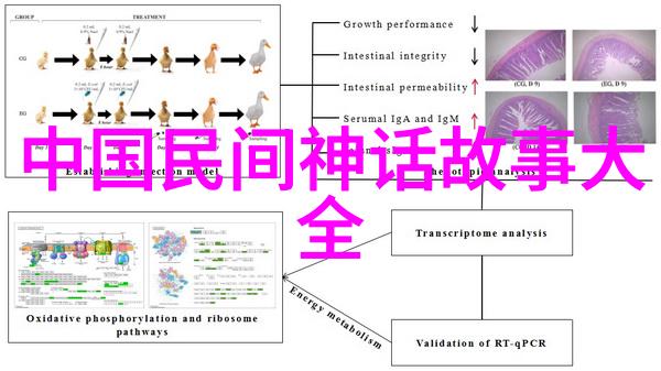 儿童历史故事大全-穿越时空的历史小朋友儿童历史故事精选集