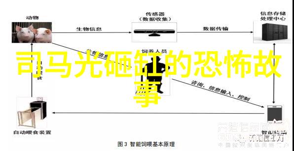 影影绰绰的49式动作