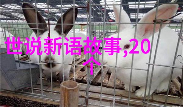 2023年新闻趣事揭秘猪鼠年瘟疫预言真相