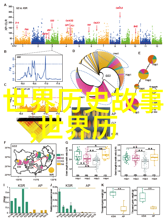 关于古代名人的历史故事我亲眼见证的楚汉争霸刘邦与项羽的英雄往事