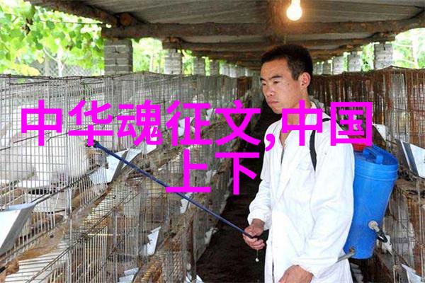 月下秘录当白银之子沉默时的传说