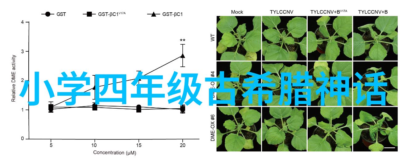 2022春节晚会闹鬼事件我亲眼见证的那场令人毛骨悚然的舞台