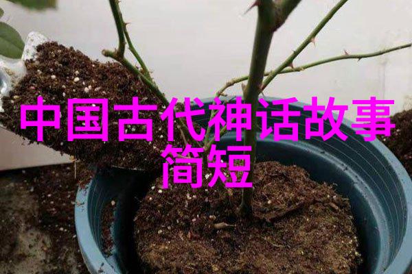 扶摇皇后小说免费阅读全文txt我是如何从无名小生变成扶摇皇后的