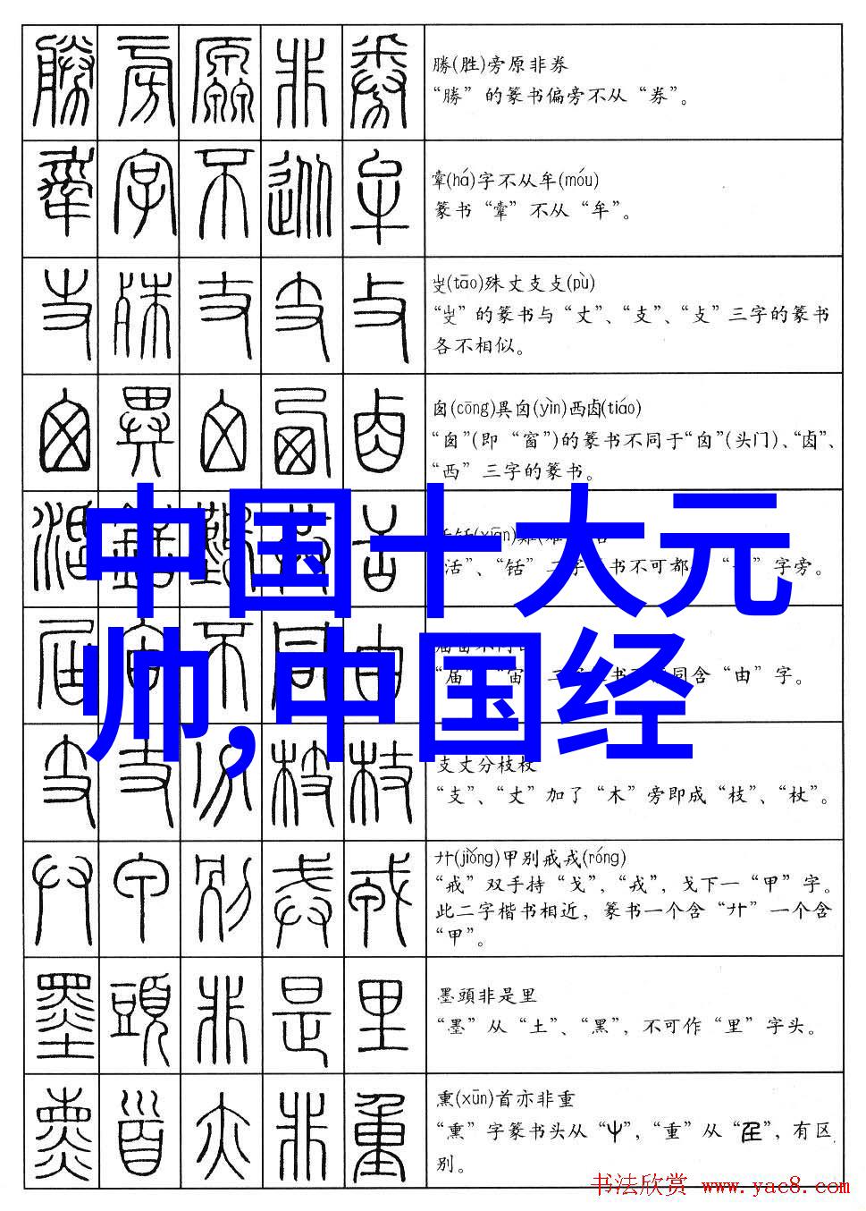 姜可全文免费读揭秘江湖恩怨与忠诚之旅